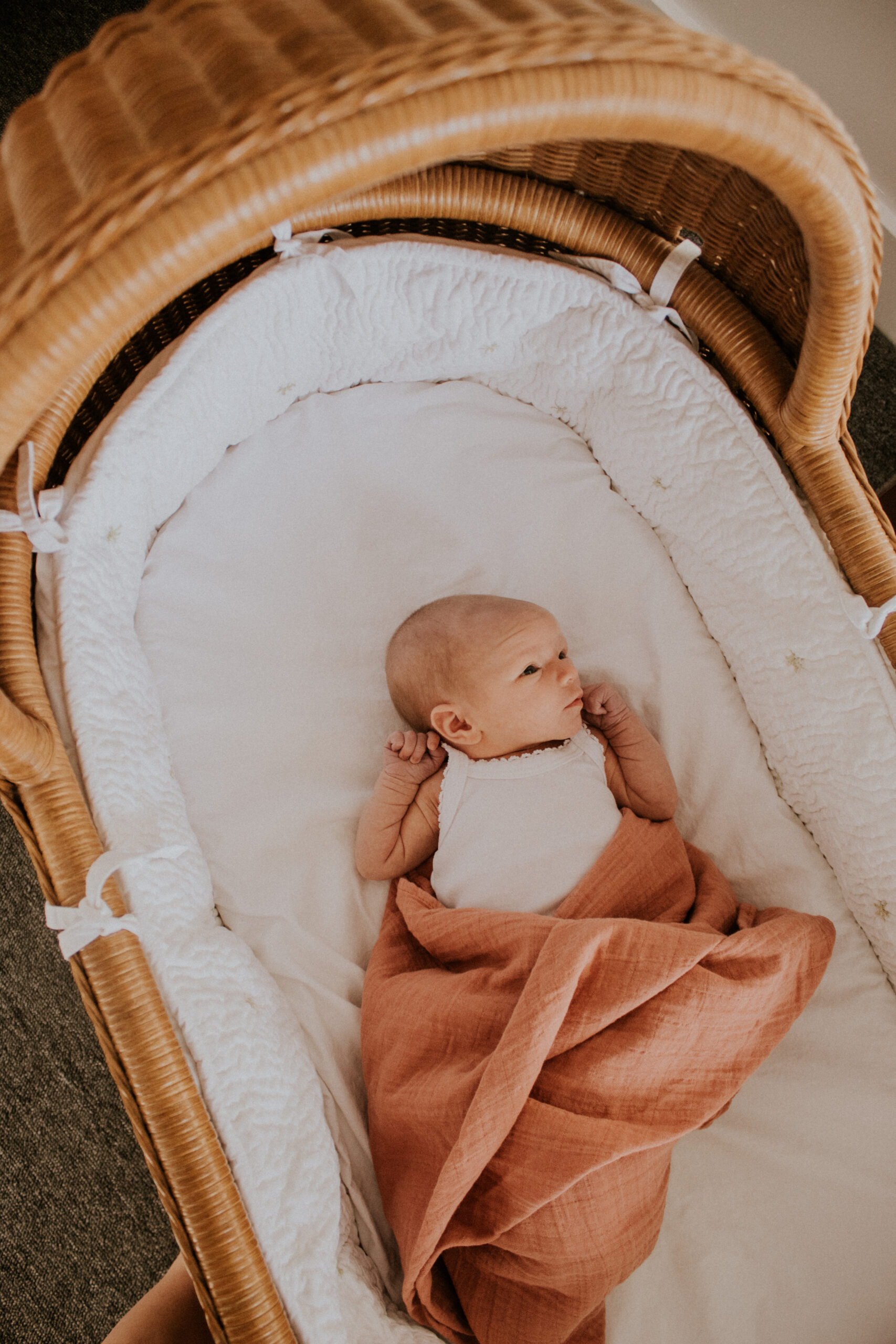 Newborn Thea Greb looks around her cradle. Courtesy | Caroline Greb