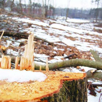 Preparations underway for new track and tennis building