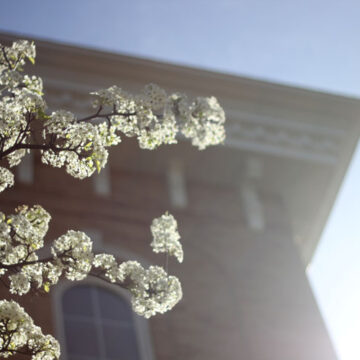 Nelson_Header Heat spike sets records