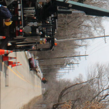 City begins annual brush and leaf collection