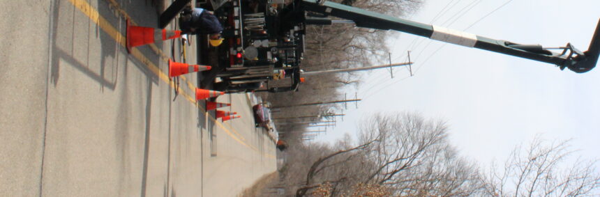 City begins annual brush and leaf collection