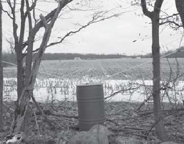 Maple syrup tapping season begins