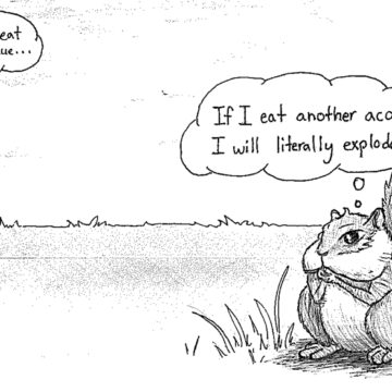 The Uses of a Liberal Arts Education 11.20.14