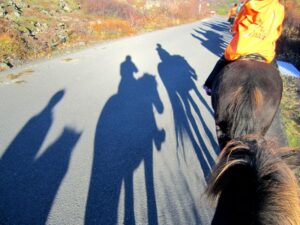 800px-Horseback_Riding_(8095376993)