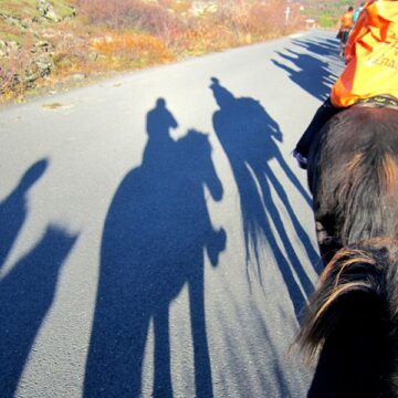 800px-Horseback_Riding_(8095376993) Buffalo Ranch