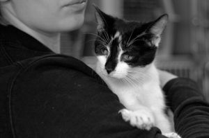 FOxdf1_BJmQ6jB1tiHHbvaaogX2DacXSoP8RCdMQgBk,Go8CHVmWJsFBtb8f2e7l9aUor8WwTG3TvwxOwFHboUc