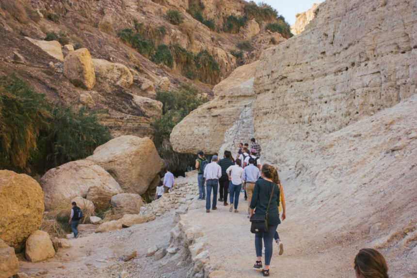 Middle East advocacy club formed on campus