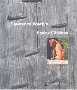 In Review: ‘Lawrence Booth’s Book of Visions’