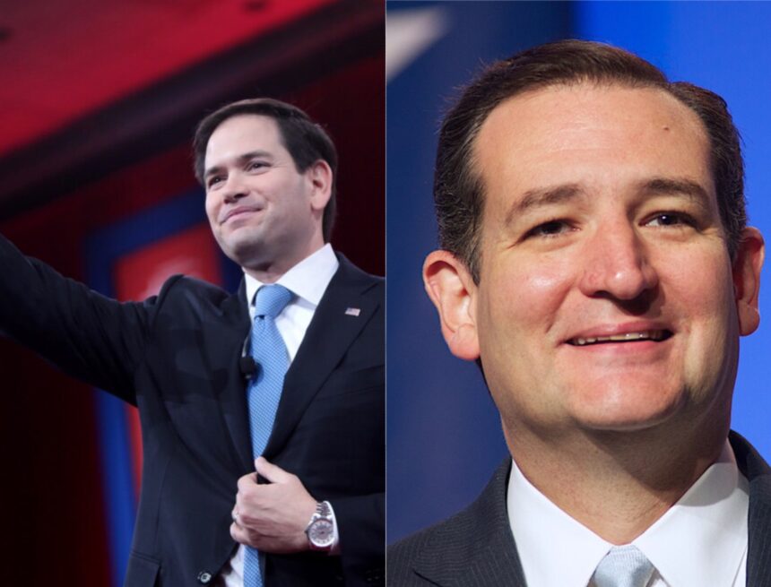 image Hillsdale students at CPAC prefer Cruz over Rubio