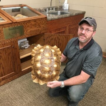 Mammal skeletons, plant fossils, and turtle shells donated to Daniel M. Fisk Museum of Natural History