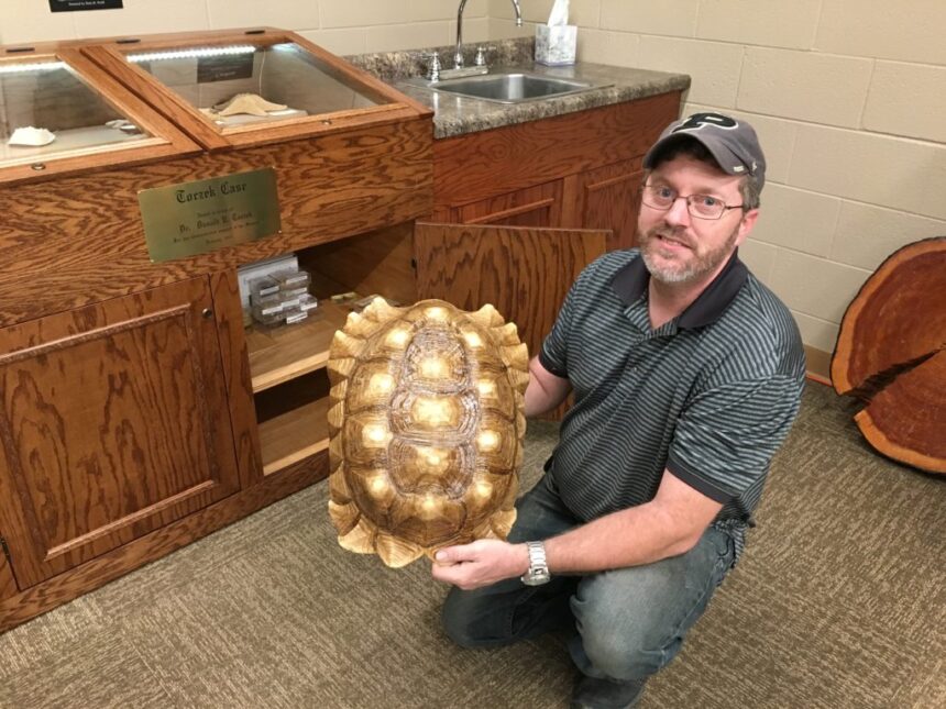 Mammal skeletons, plant fossils, and turtle shells donated to Daniel M. Fisk Museum of Natural History