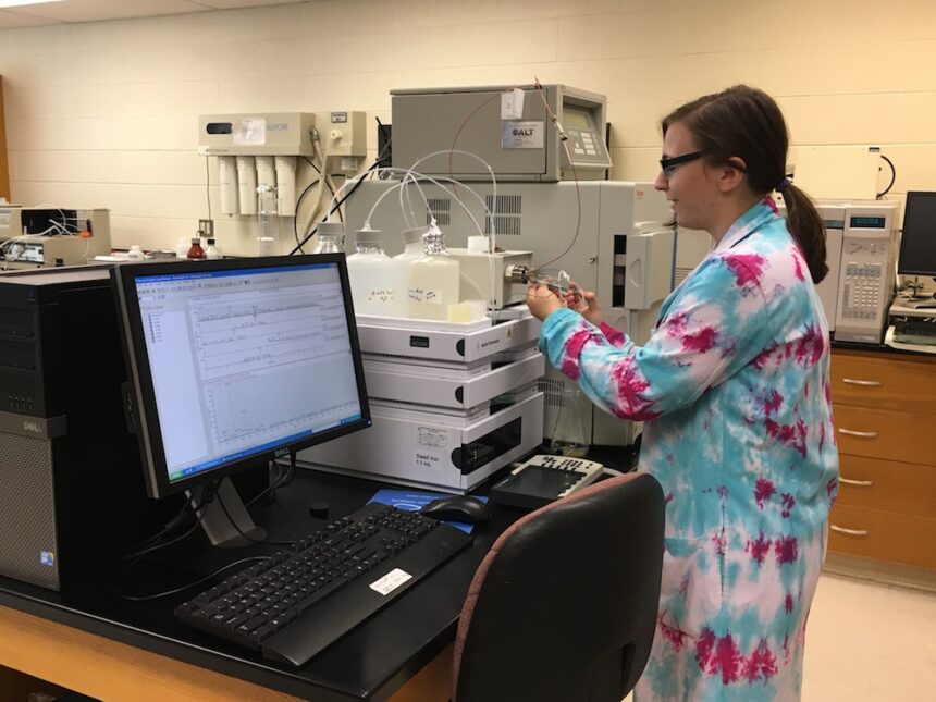 Researching coffee from bean to brew