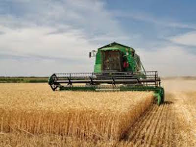 Record crop yield ramps up competition
