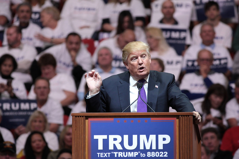 Donald J. Trump wins