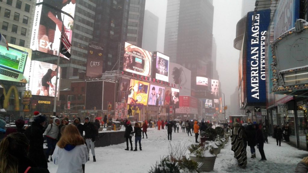 Snowstorm makes for memorable first NYC career service trip