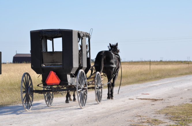 Shirkey: requiring Amish to register  buggies is a step ‘too far’