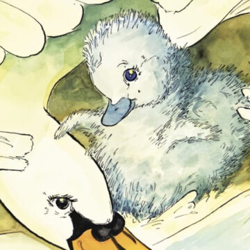 The Handsome Little Cygnet