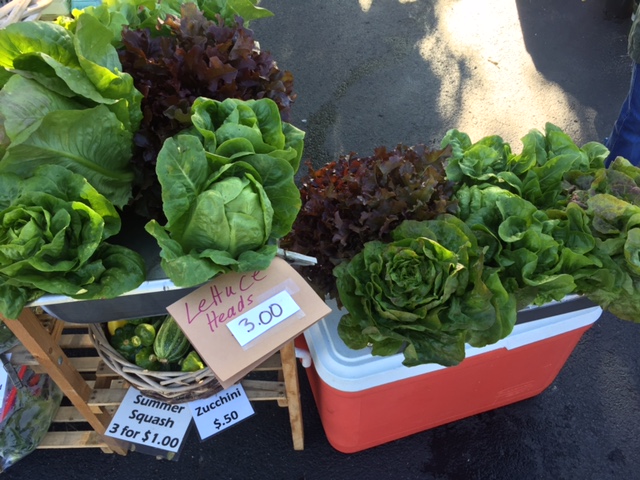 Farmer’s Market offers homegrown food, homemade gifts
