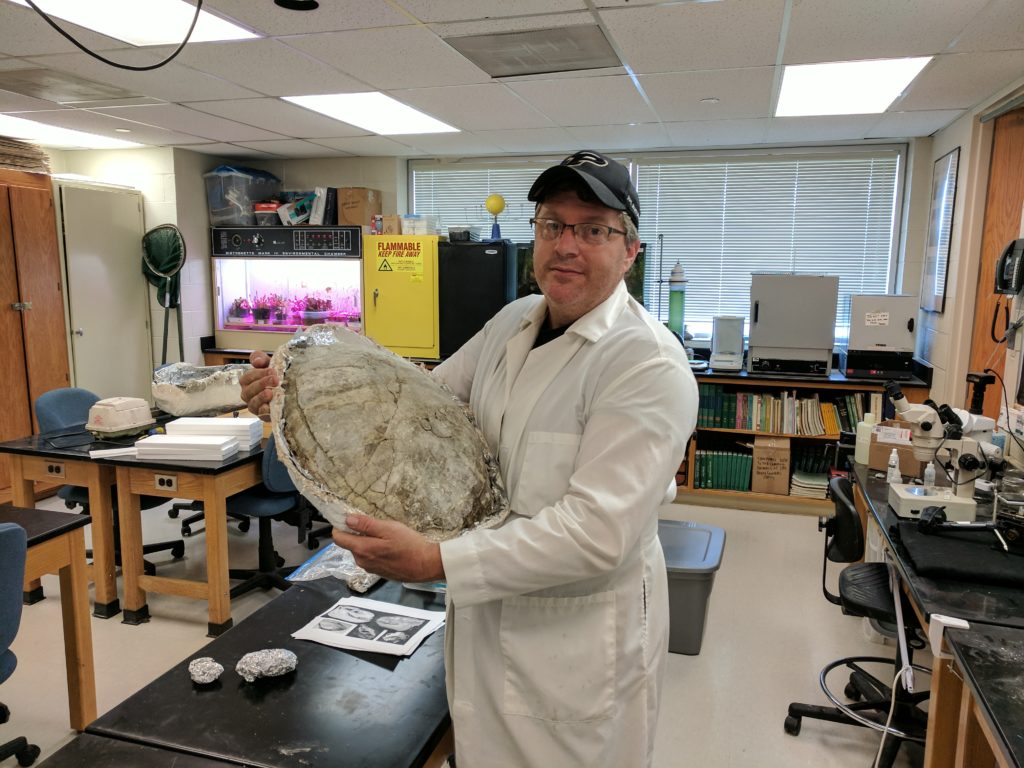 From dig to display: Swinehart, alumnus find fossils for museum