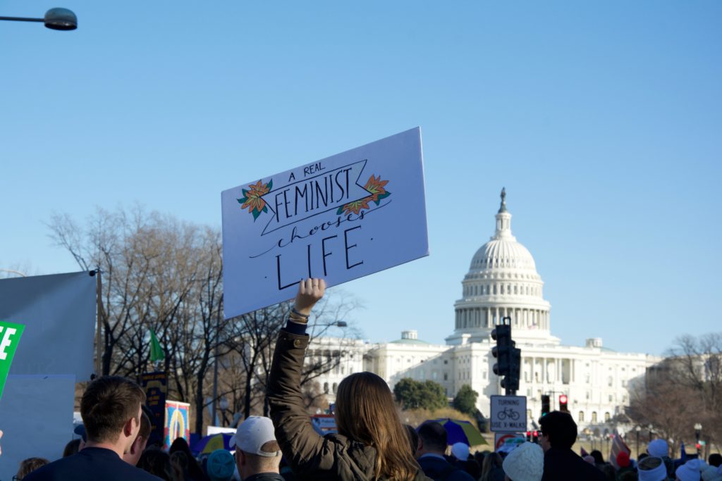 Hillsdale takes more than 100 students to March for Life