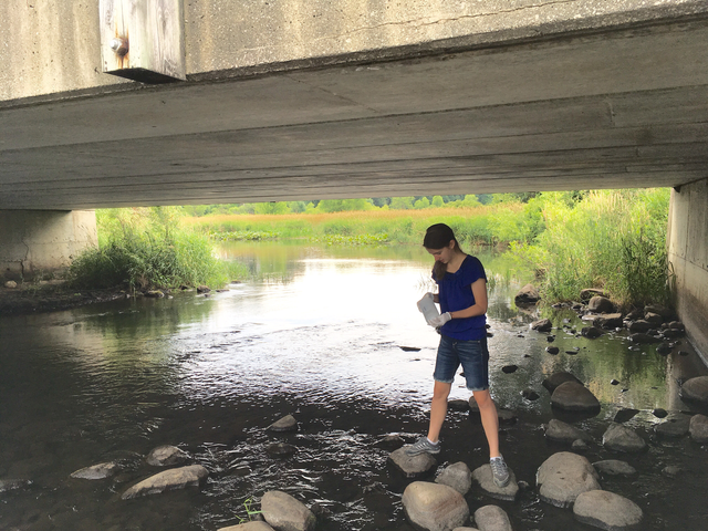 Student research measures phosphate levels in local water