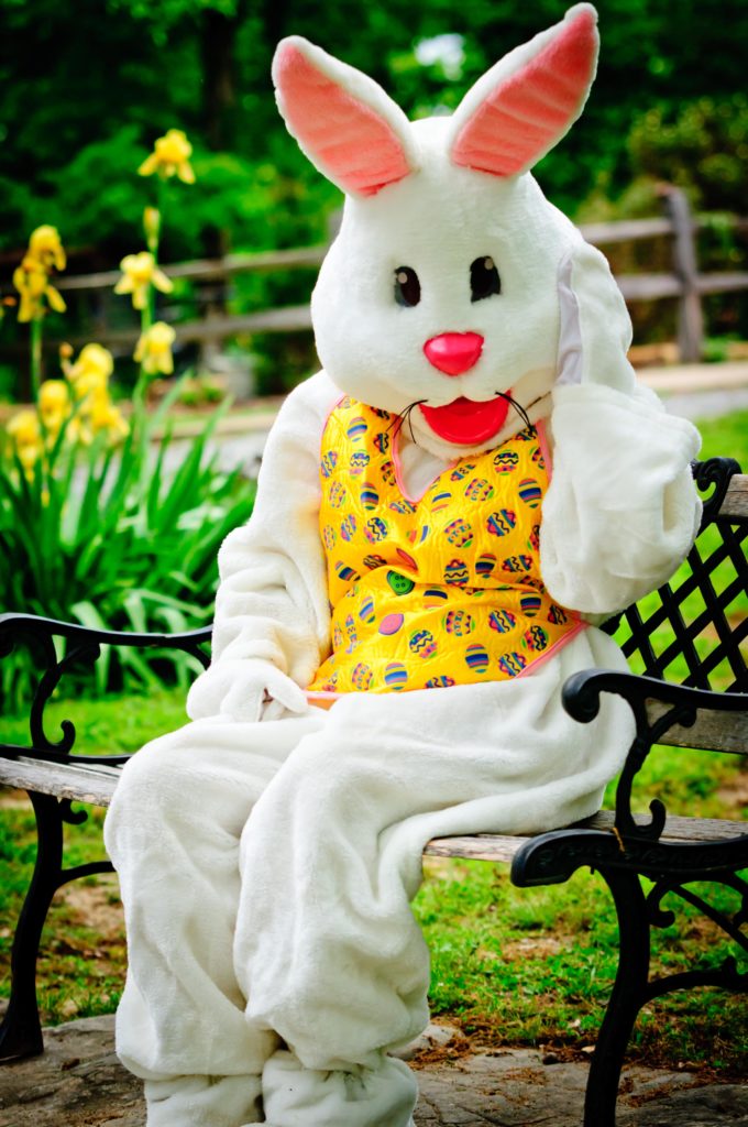 City plans first-ever Easter egg hunt