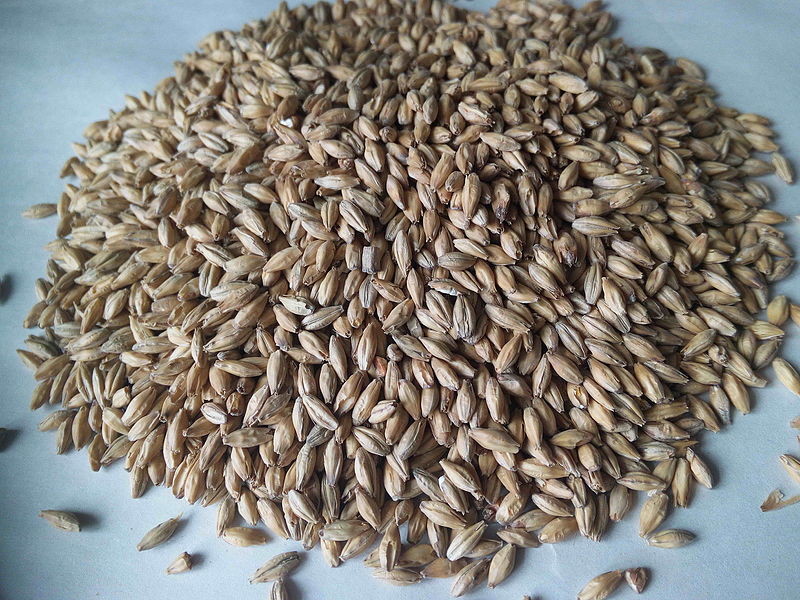 Source of Craft beer in Hillsdale: Local supplier provides barley for new malting facility in Lichfield