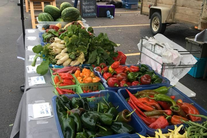 Politics department offers new politics of health class