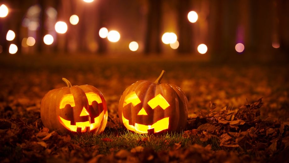 Six things to do this Halloween in Hillsdale