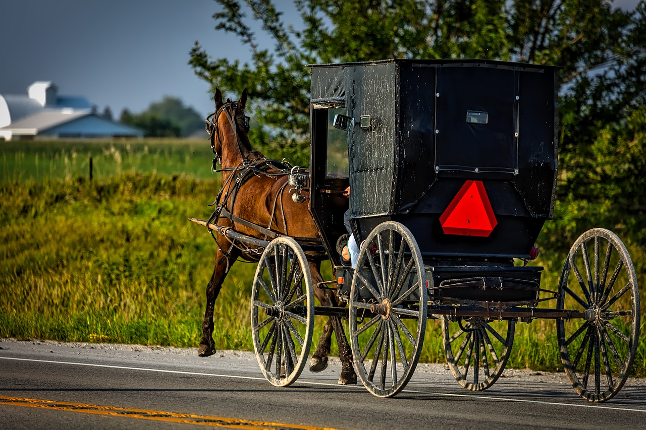 ‘Buggy Bills’ seek to make travel safer for Amish and auto-drivers