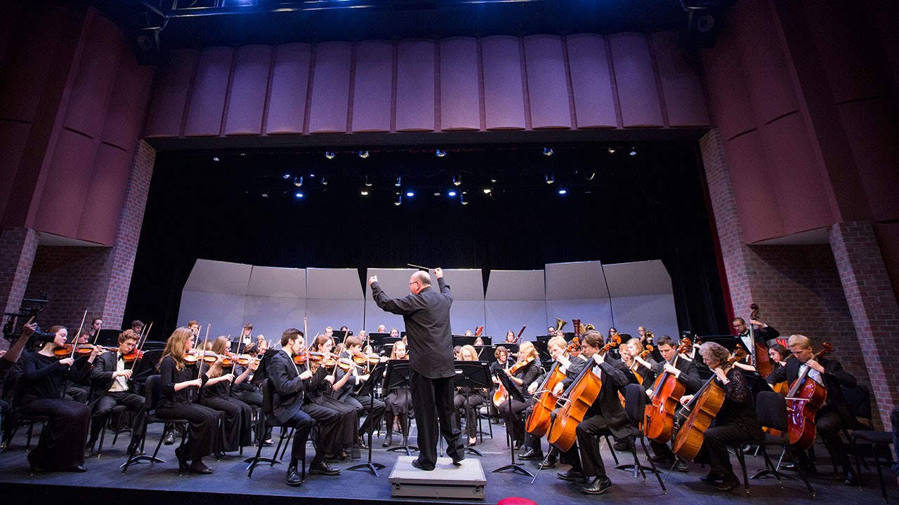 Hillsdale music director Holleman receives national orchestral honor