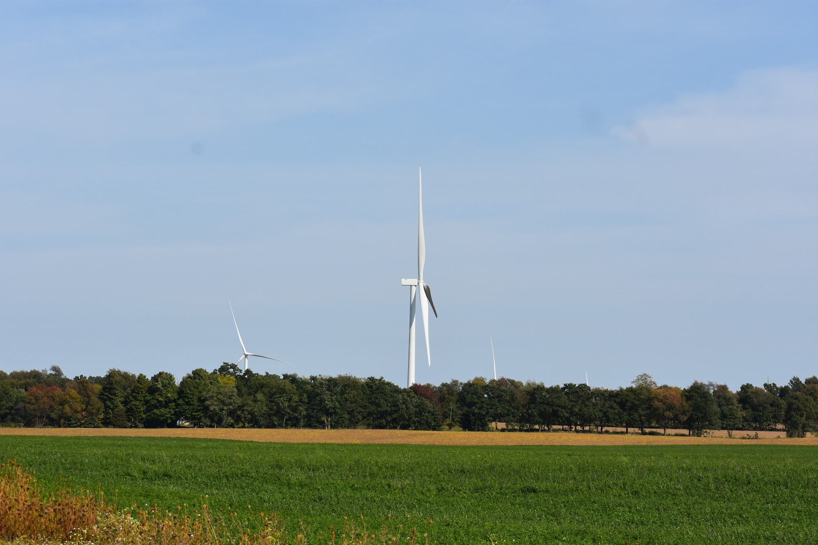 Wind turbines prompt Wheatland residents to run for office