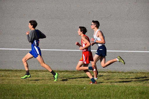 Hillsdale Academy boys cross country team wins first place in Michigan’s Division 4 championship