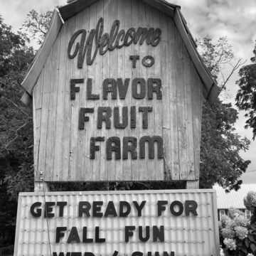 ‘The farm was a lighthouse to the community’