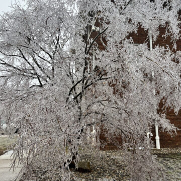 Campus, county regain power after ice storm