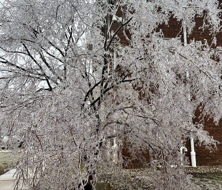 Campus, county regain power after ice storm