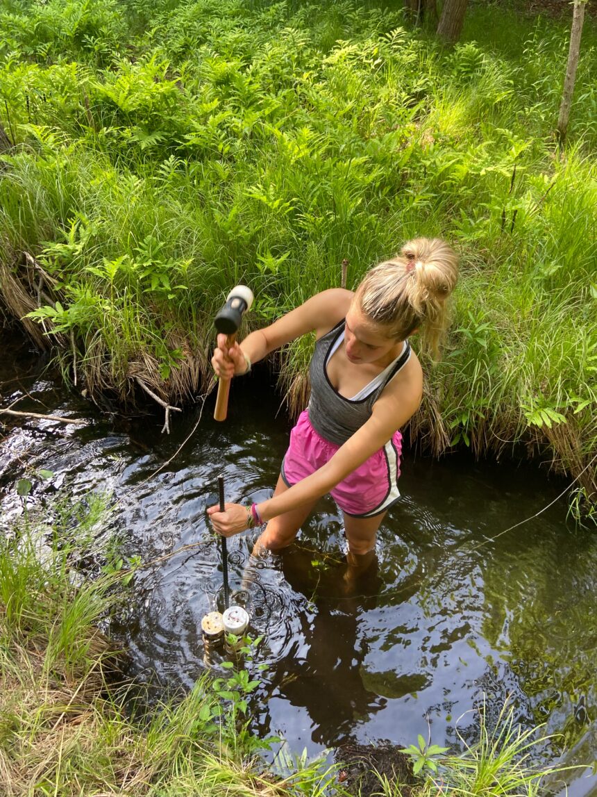 Molly Williams Research Spotlight