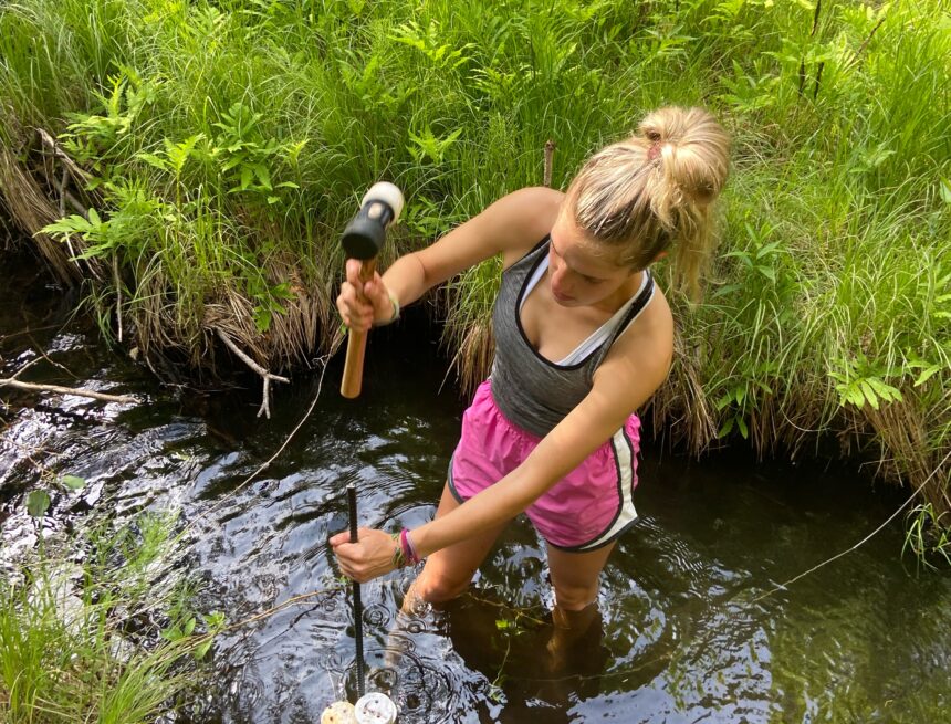 mollywilliamscolor Molly Williams Research Spotlight