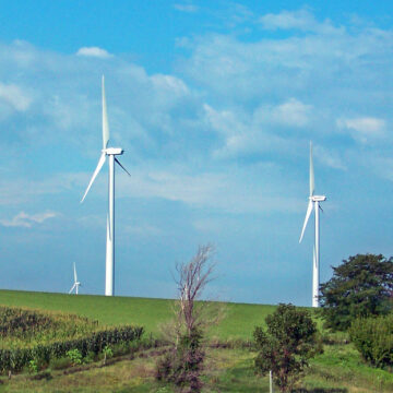 Alternative energy sources are not the solutions to blackouts