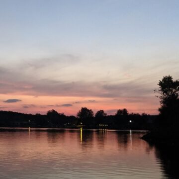 Lake Diane algal bloom tests negative for cyanotoxins