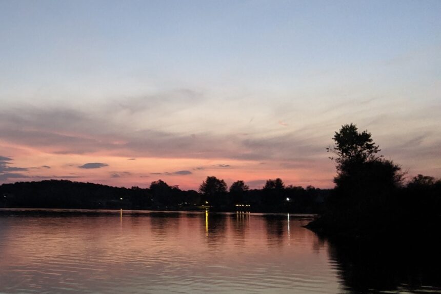 Lake Diane algal bloom tests negative for cyanotoxins