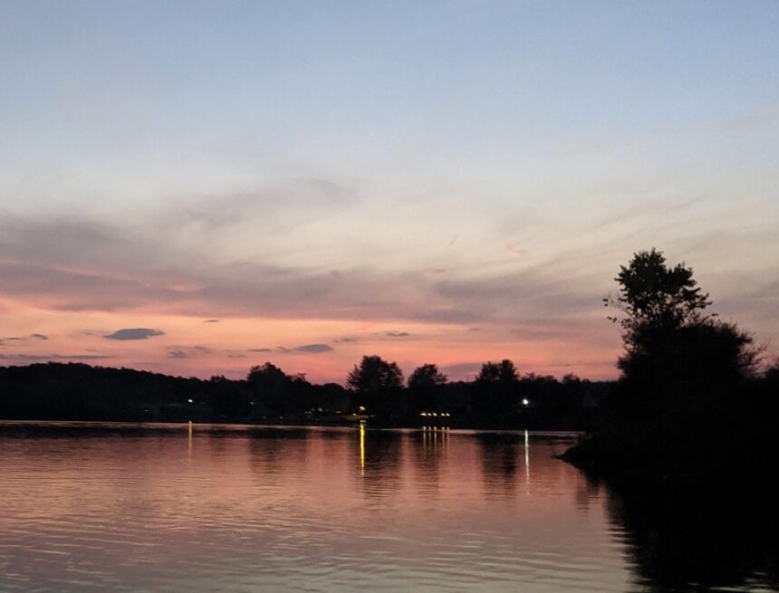 Lake Diane algal bloom tests negative for cyanotoxins