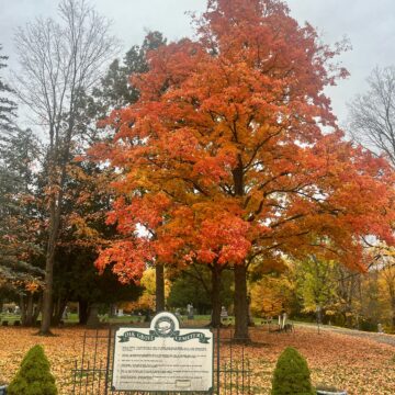 Cemeteries display the circle of life