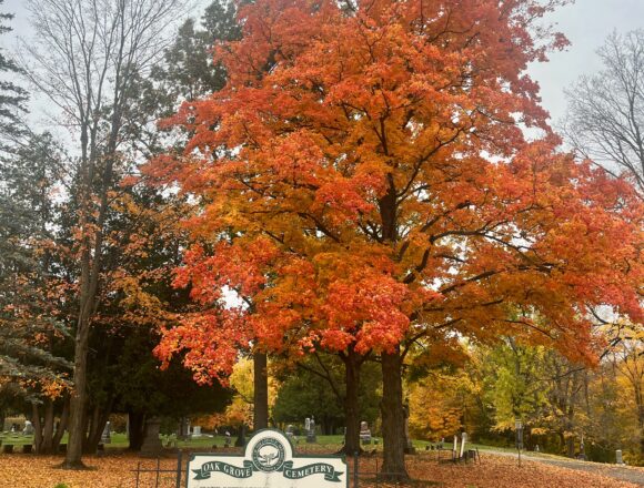 Cemeteries display the circle of life