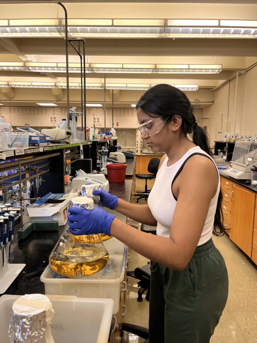 aruna collegian Student TAs serve as mentors in lab