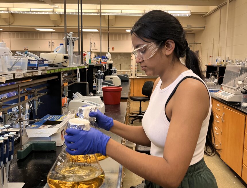 aruna collegian Student TAs serve as mentors in lab