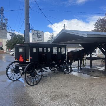 Students tour amish town in horse drawn buggy