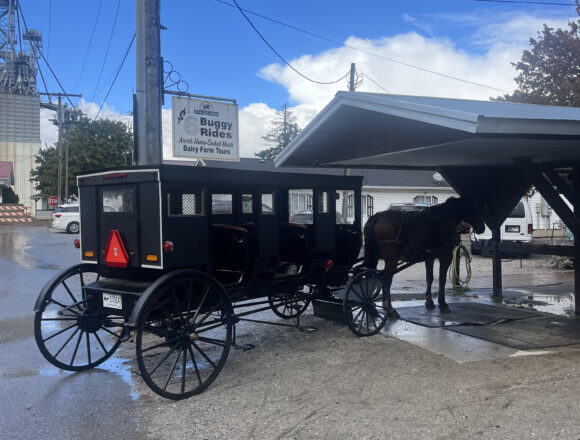 Students tour amish town in horse drawn buggy