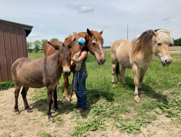 Kaufman pats her mule, Digger, while horses, Dixie and Teal, look on.
