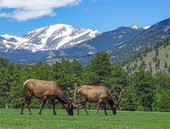 Nimrod director receives national conservation award